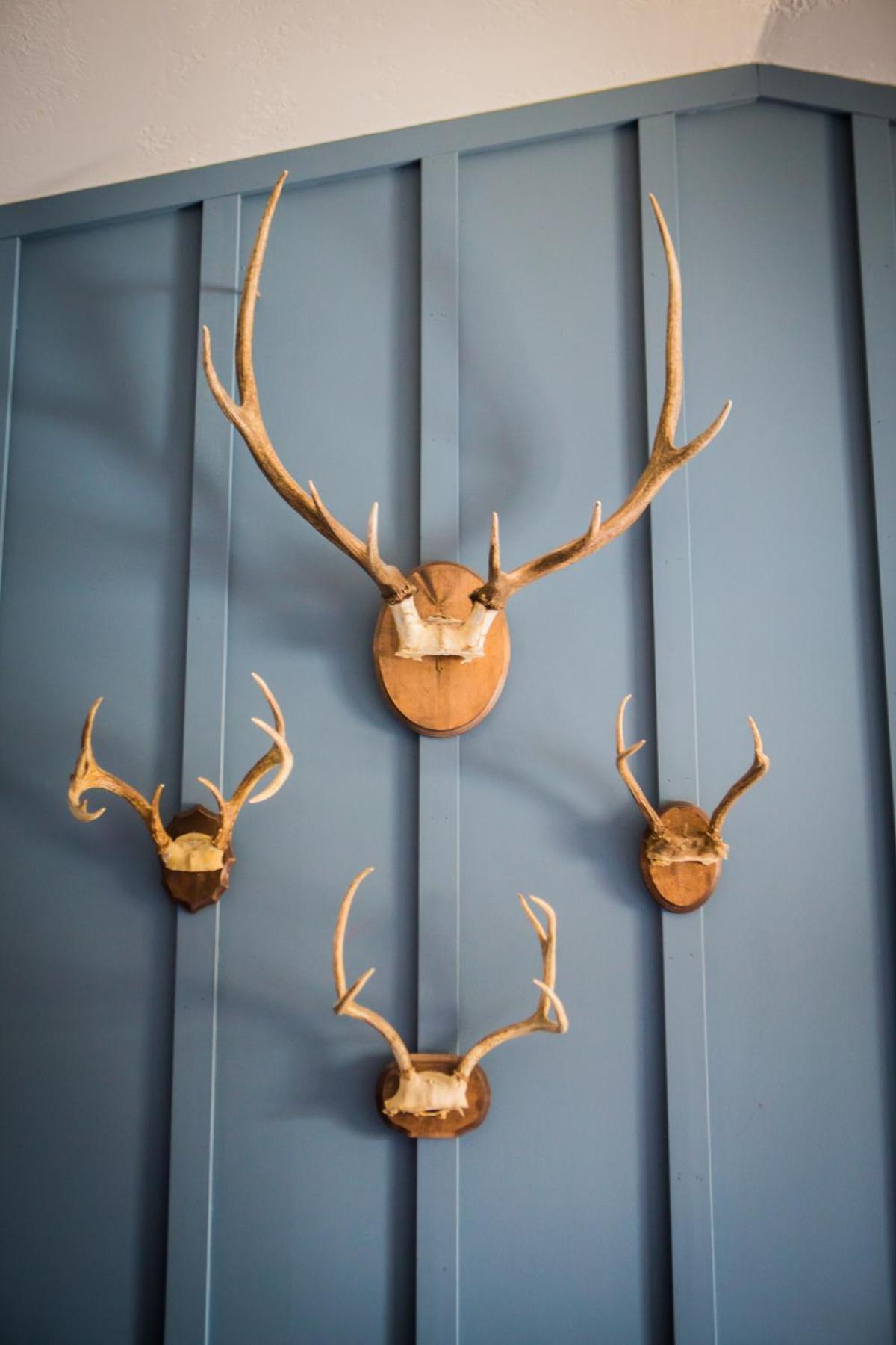 Angler'S Lodge Айлънд Парк Екстериор снимка